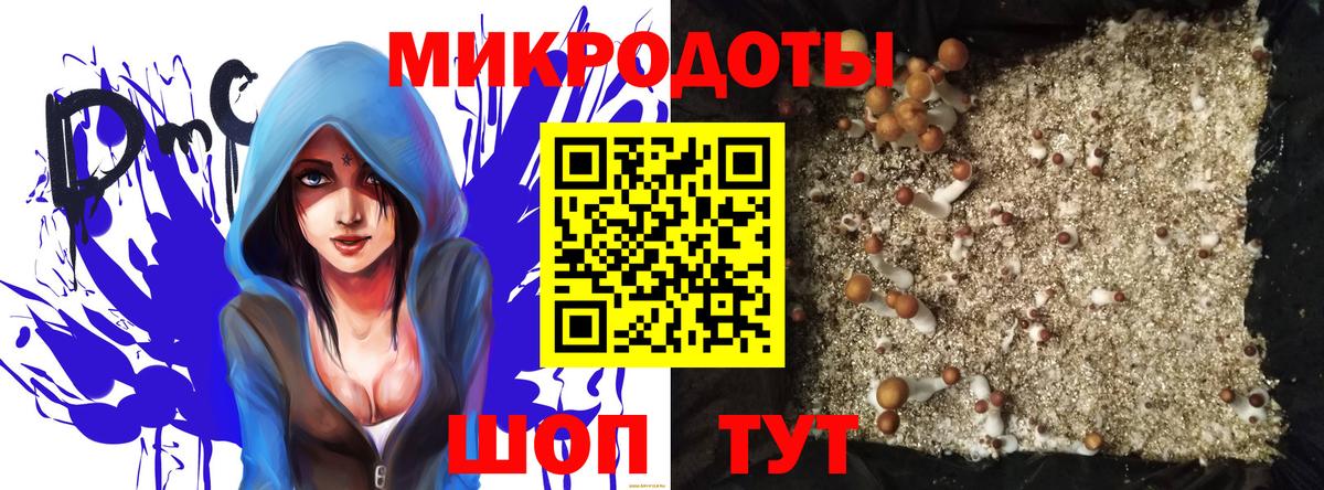 Галлюциногенные грибы Psilocybine cubensis  Вход с VPN  Нижневартовск  Псилоцибиновые грибы Magic Shrooms 